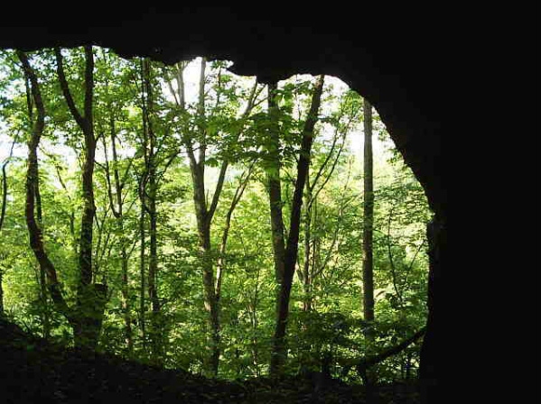 Cave Exit Looking Out.jpg