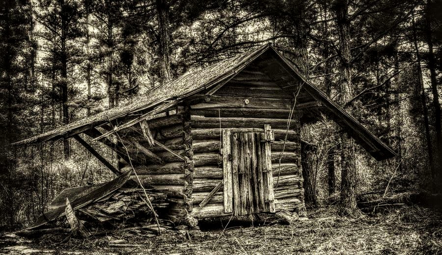log cabin.jpg
