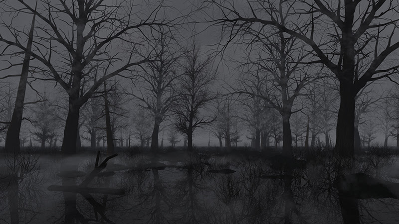 dark swamp.jpg