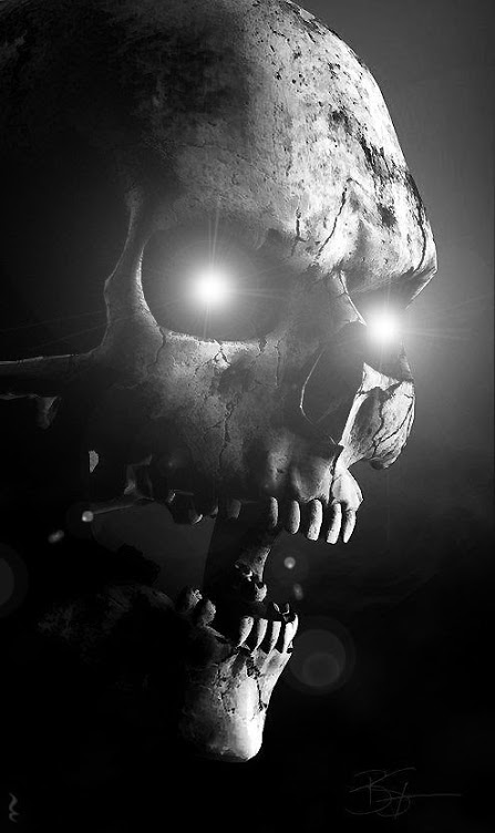 skull.jpg