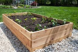 raised bed.jpg