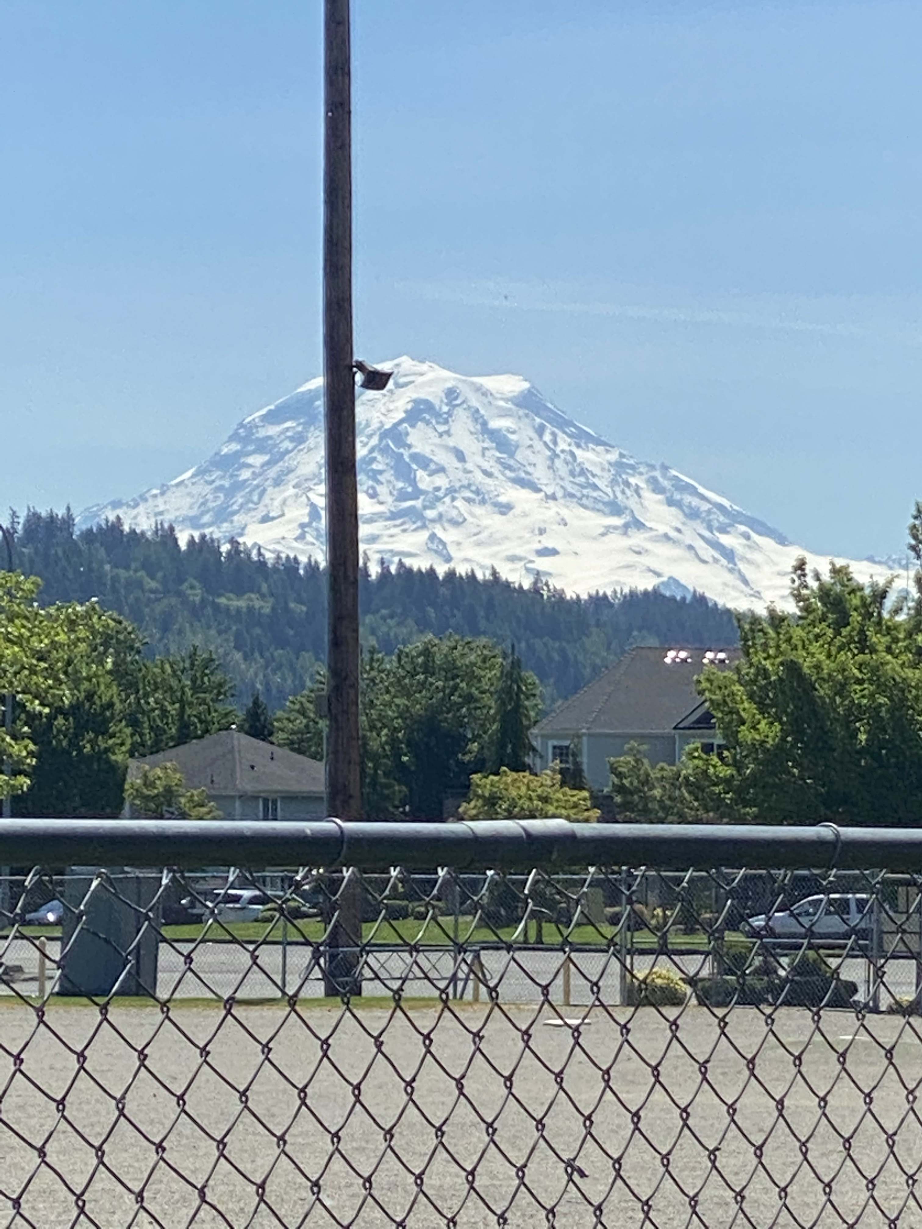 Normal Mt Rainier.jpeg