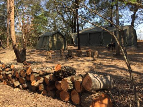Typical logging camp