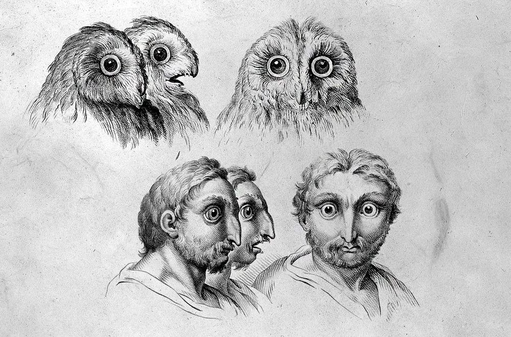 Owl-folk illustration.jpg
