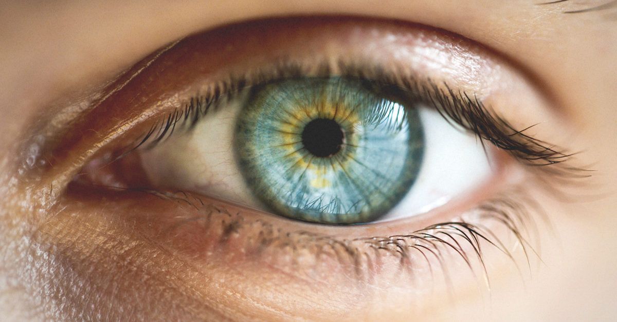 4884-Close-up_of_a_blue_eye_with_yellow_center-1200x628-Facebook-1200x628.jpg