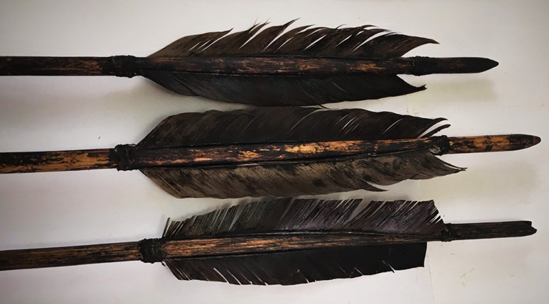 raven feathers.jpg