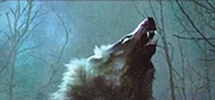 howling wolf.jpg
