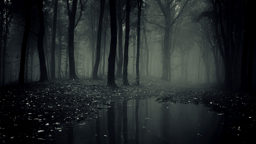 Haunted Woods 7.jpg