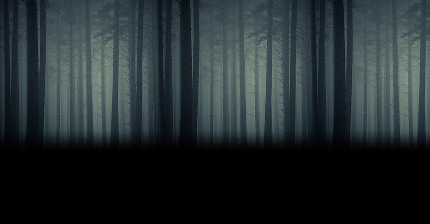 Haunted Woods 8.jpg