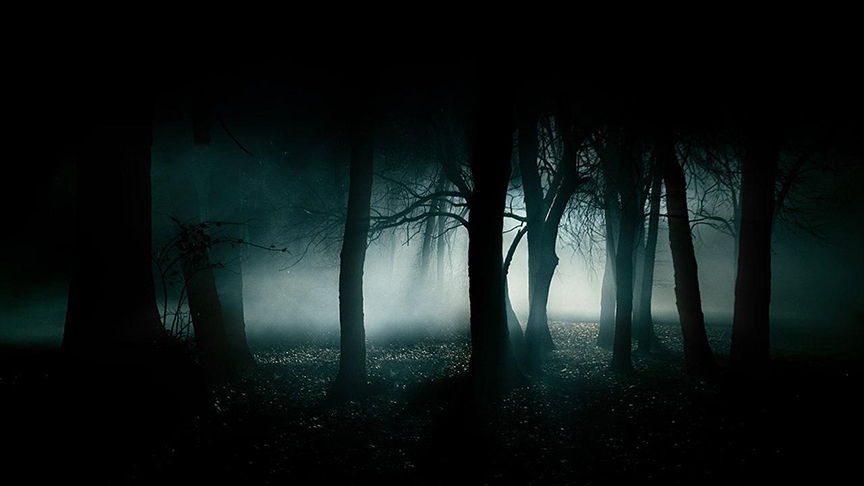 Haunted Woods 5.jpg