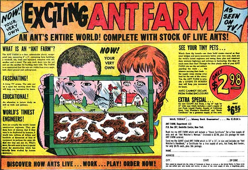 Uncle-Milton-Ant-Farm.jpg