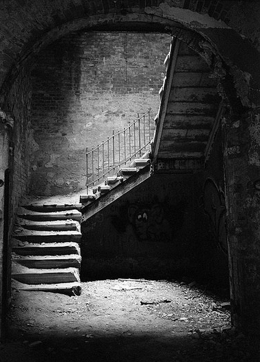 Cellar steps.jpg