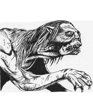 IMG_0890.GIF