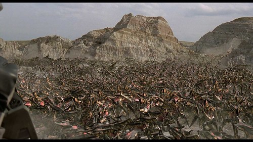 Bugs+of+Starship+Troopers.jpg