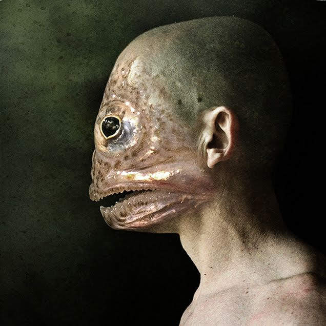 fish.jpg