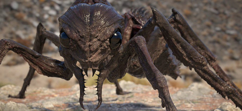 ant.jpg