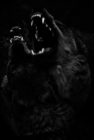 howl.jpg