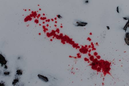 blood.jpg