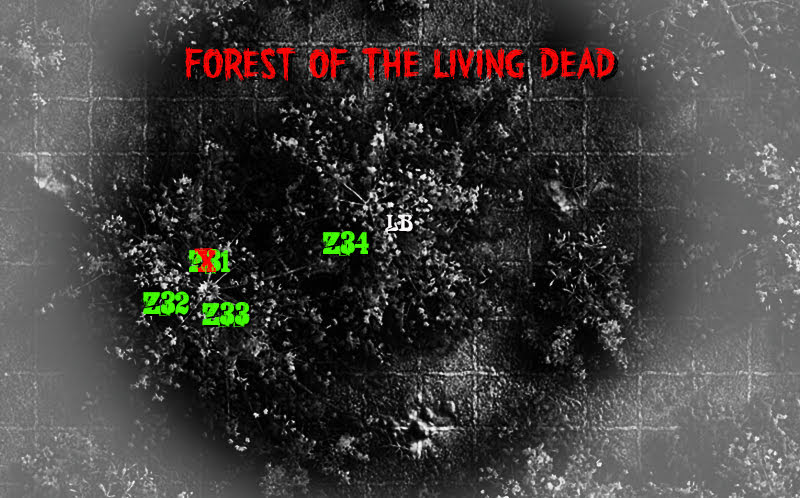 Forest 1.jpg