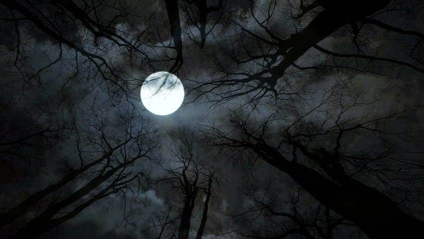 full moon.jpg