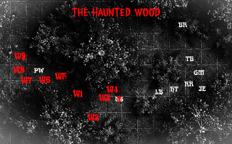 Woods 1.jpg