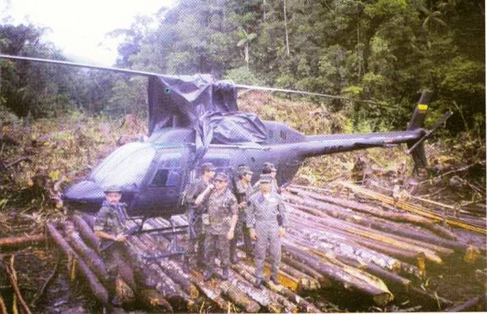 hidden helipad.jpg