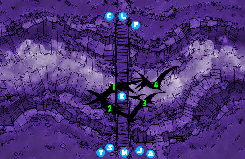 chasm map 2.jpg