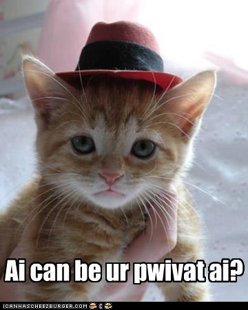 Private Detective Cat.jpg