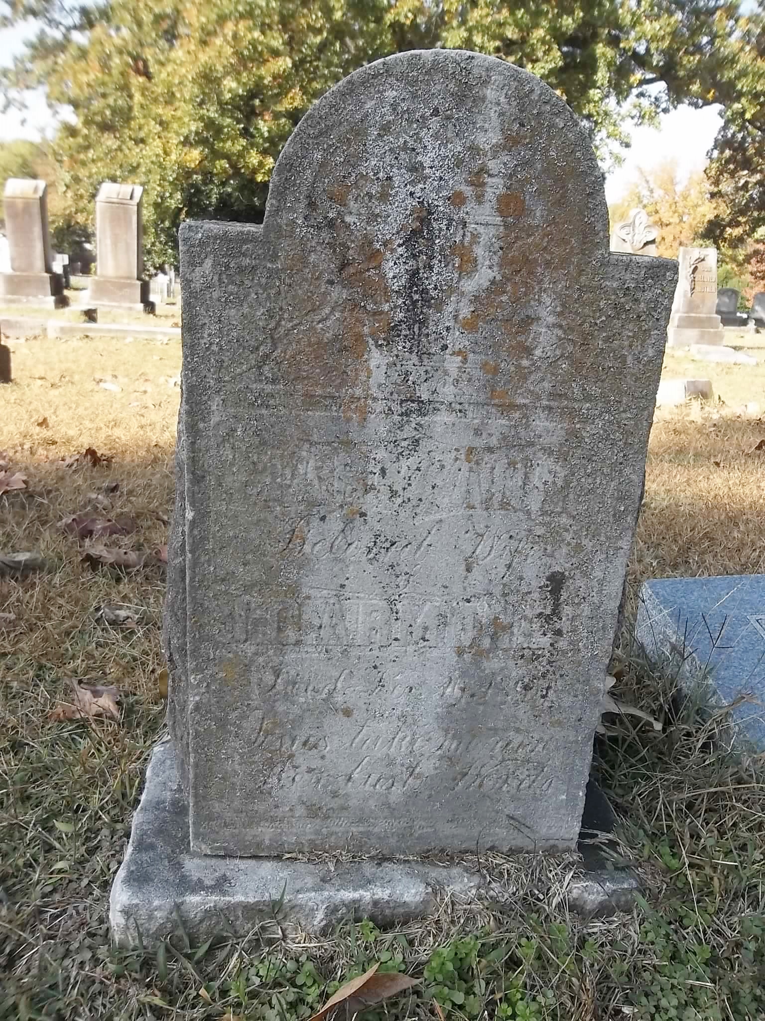41952739_1509678830.jpg