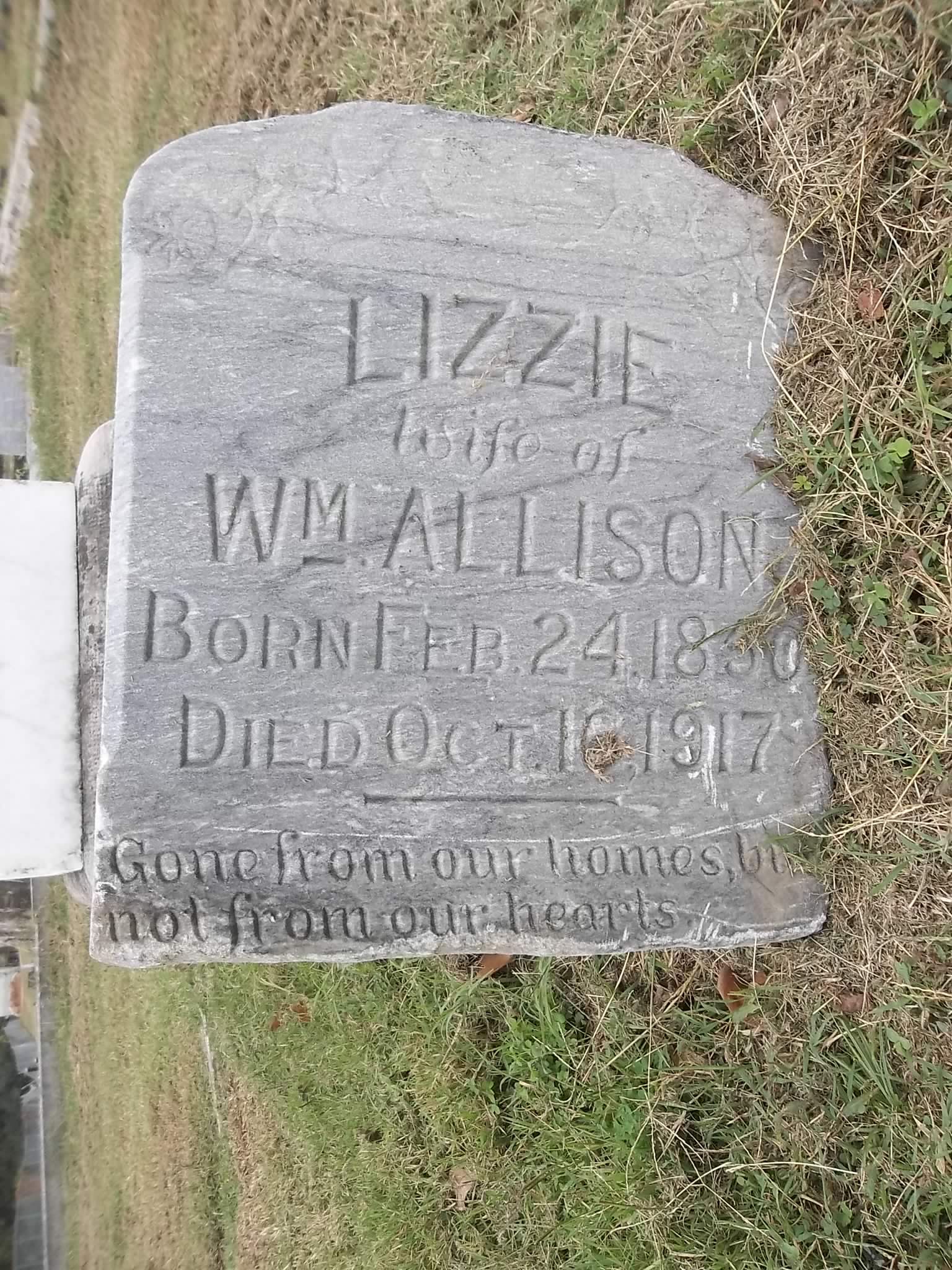 41952644_1508639086.jpg