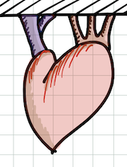 Heart2.png