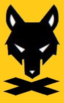 Icon Colour.jpg