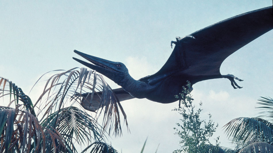 pterodactyl_1975_01.jpg