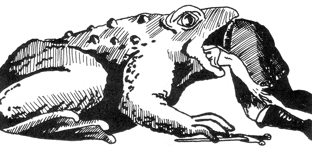 Giant Toad.jpg
