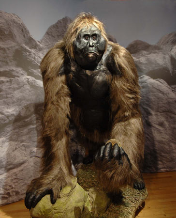 Carnivorous Ape