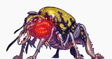 Giant-Fire-Beetle.jpg