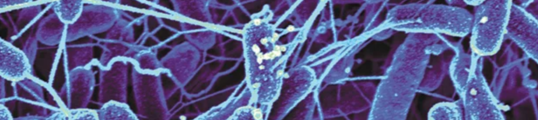 Microbial Infestication.png