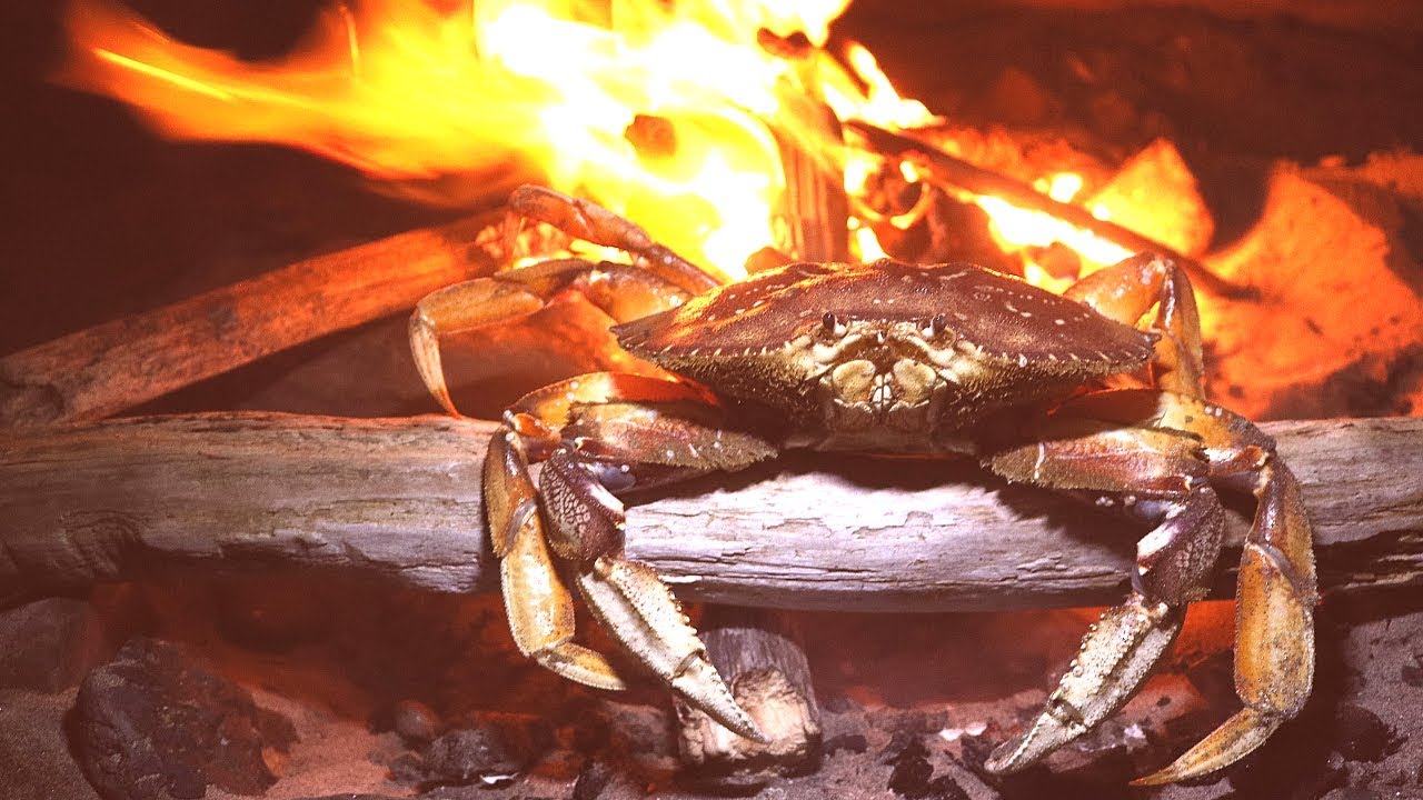 Huecuva fiery crab.