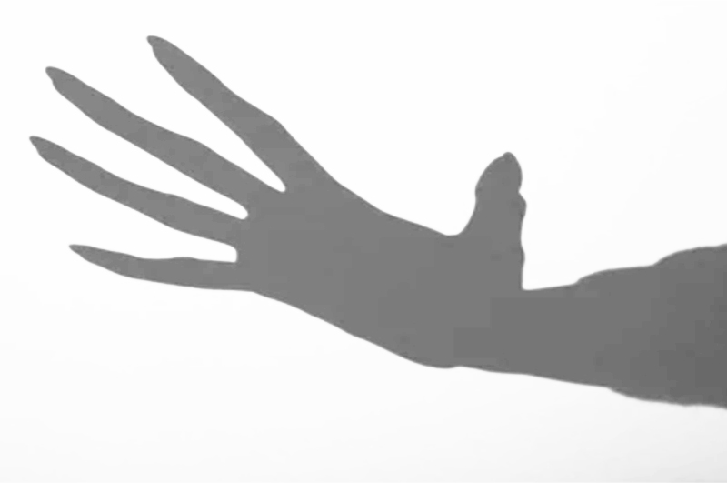 shadow.jpg