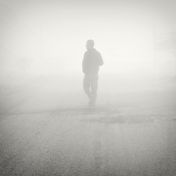 Fog in the Barrow Mounds meadow