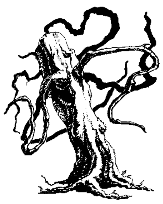 Trench tree