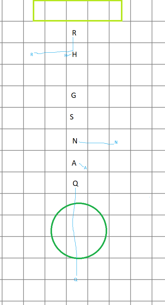 Scattering in the Woods.png