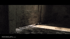 FlatAdmiredFawn-max-1mb.gif