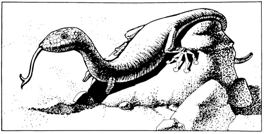 Burrower Snake.png
