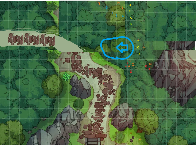 Forest1_3.png