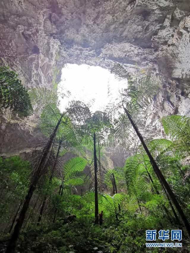 Svirfneblin sinkhole.