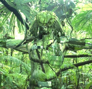 Forest fiend