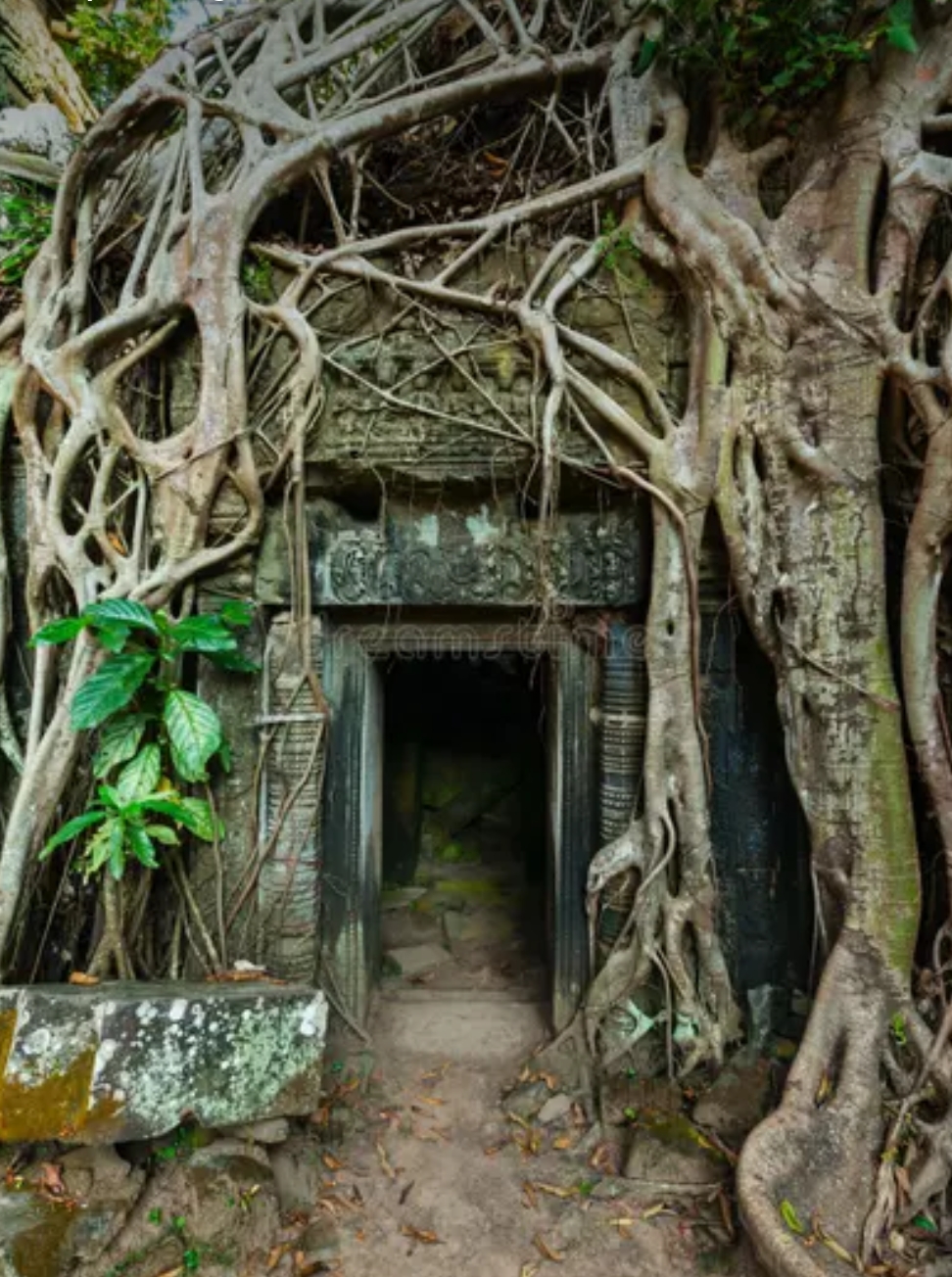Black Willow Island: tomb