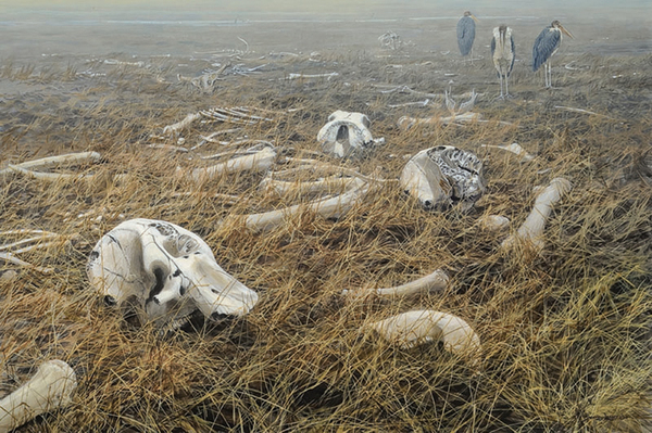 A view of the Mammoth Graveyard