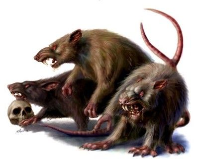 rats.jpg